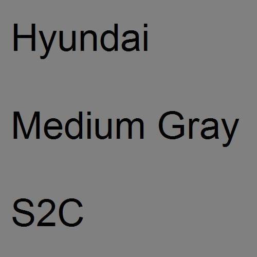 Hyundai, Medium Gray, S2C.